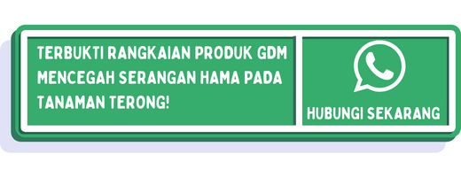 cta jenis hama pada terong 2