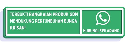 cta cara budidaya bunga krisan 2