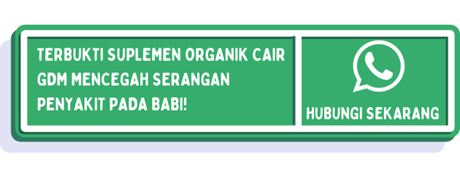 cta penyakit african swine fever 2