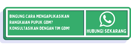 cta cara membuat bonsai kelapa berbuah 3