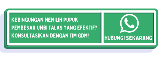 cta pupuk pembesar umbi talas 1