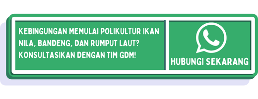 cta cara polikultur ikan nila bandeng dan rumput laut 1