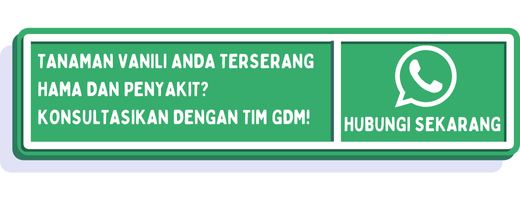cta hama dan penyakit tanaman vanili 1