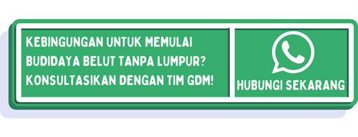 cta cara budidaya belut tanpa lumpur 1