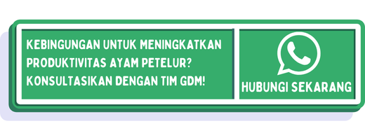 cta suplemen ayam petelur 1