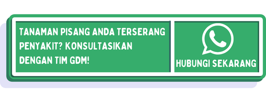 cta jenis penyakit pohon pisang 1