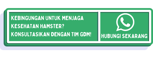 cta cara memelihara hamster bagi pemula 1