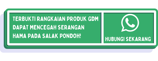 cta cara mencegah hama salak pondoh 2