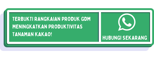 cta pupuk tanaman kakao 2