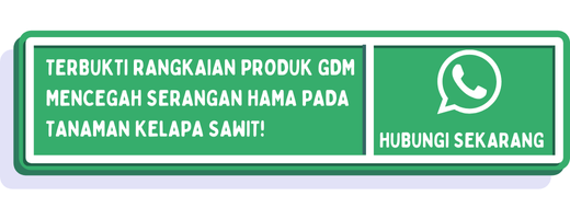 cta jenis hama kelapa sawit 2