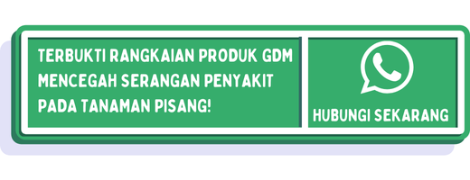 cta jenis penyakit pohon pisang 2