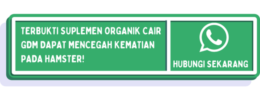 cta cara memelihara hamster bagi pemula 2