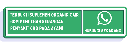 cta pencegahan penyakit crd pada ayam 2