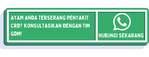 cta pencegahan penyakit crd pada ayam 1