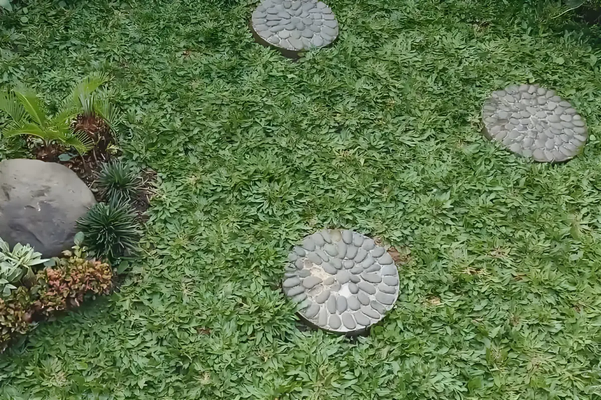 hama rumput gajah mini