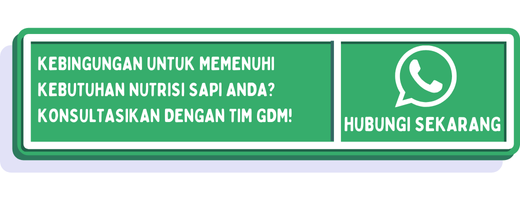 cta cara membuat silase pakan sapi 1
