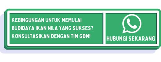 cta perbedaan ikan nila jantan dan betina 1
