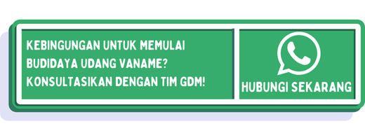 cta pemberian pakan udang vaname menurut umur 1