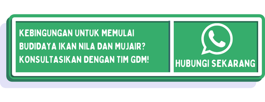 cta perbedaan ikan nila dan mujair 1