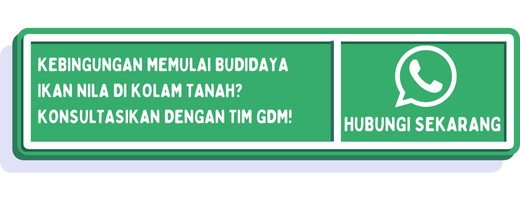 cta cara budidaya ikan nila di kolam tanah 1