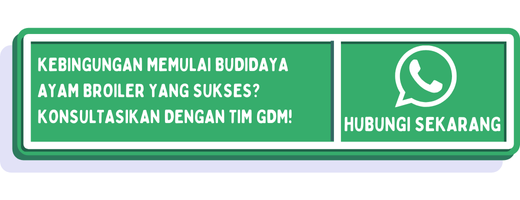 cta jadwal pemberian pakan ayam broiler 1