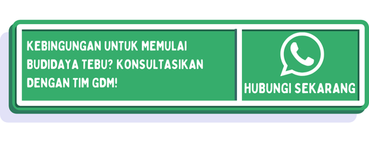 cta jarak tanam tebu yang ideal 1