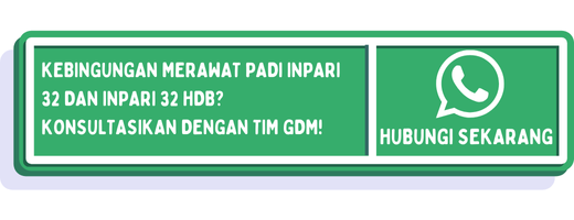 cta perbedaan inpari 32 dan inpari 32 hdb 1