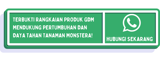 cta jenis monstera mahal 2