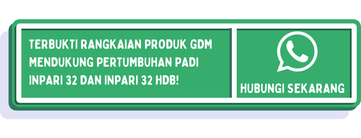 cta perbedaan inpari 32 dan inpari 32 hdb 2