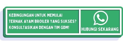 cta standar bobot ayam broiler 1