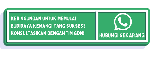 cta cara menanam kemangi dari batang 1