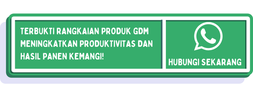 cta cara menanam kemangi dari batang 2