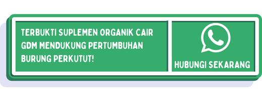 cta cara menjinakkan burung perkutut 2