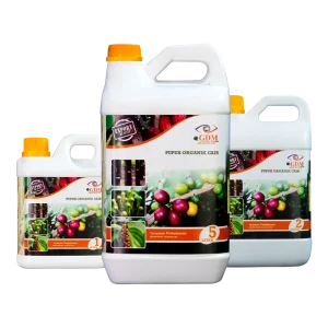 Produk GDM - Pupuk Organik Cair Spesialis Tanaman Perkebunan. Varian 2 liter