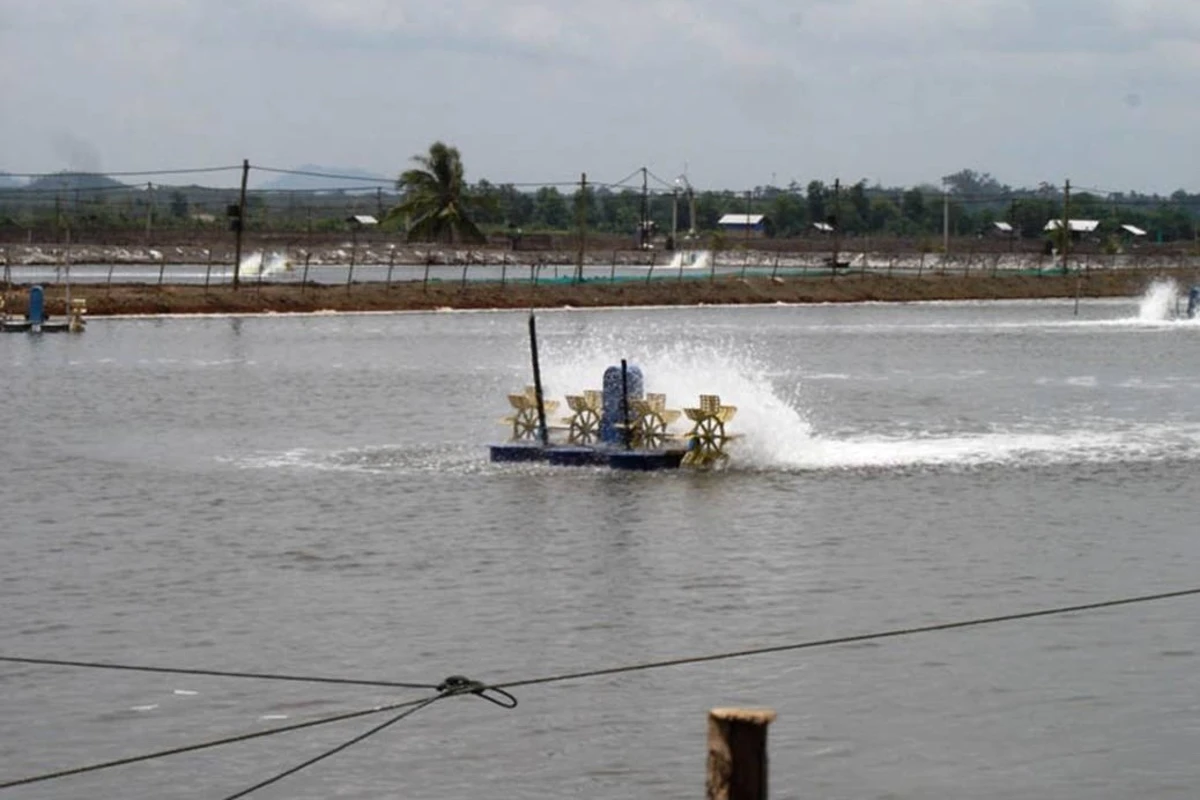 fungsi kincir air di tambak udang