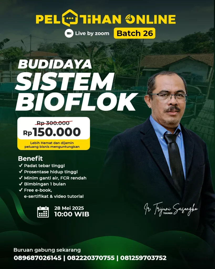 Bioflok - Batch 26 - 3