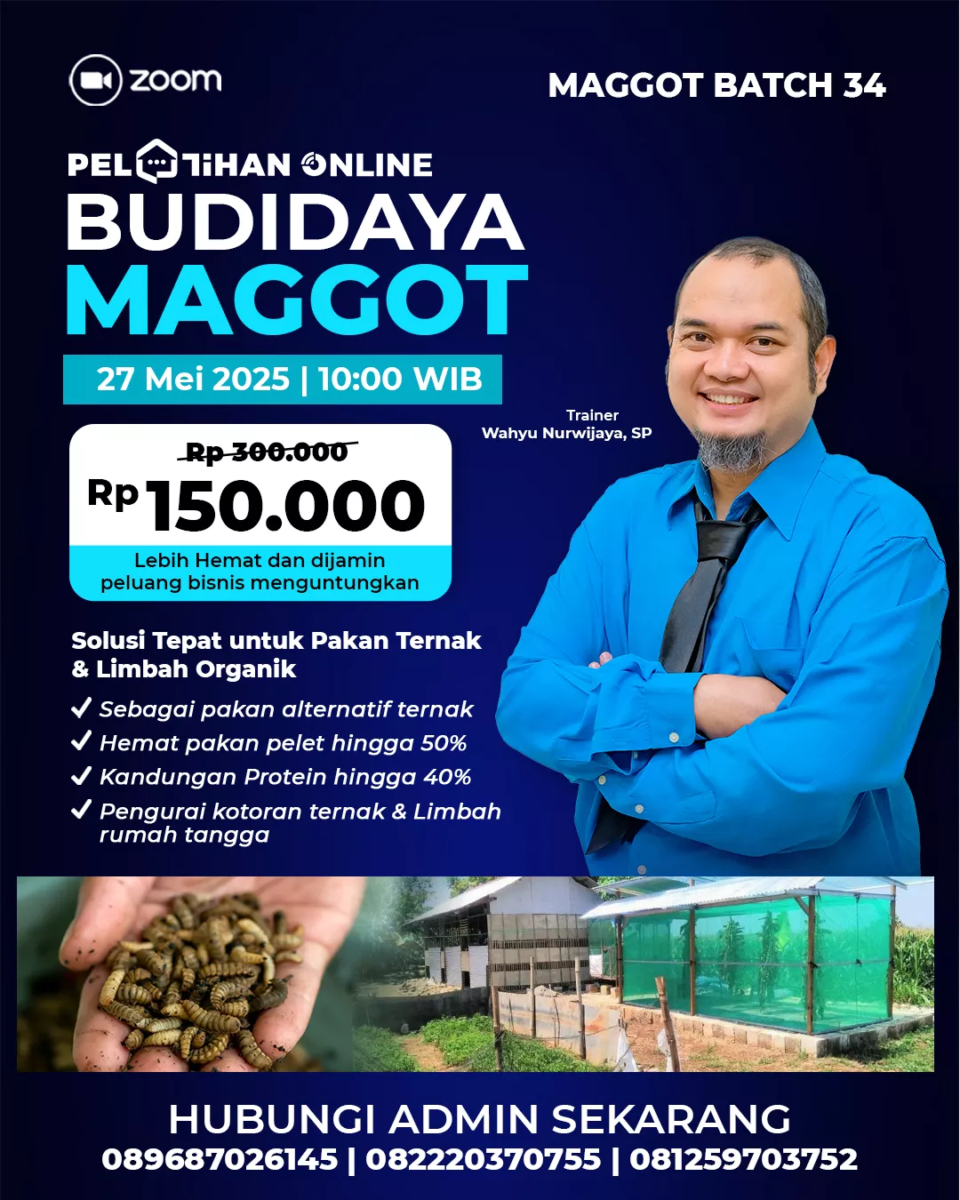 Budidaya Magot - Batch 34 - 3