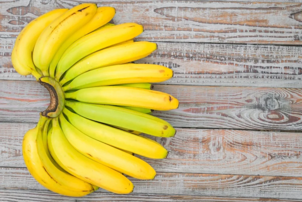 cara menanam pisang cavendish