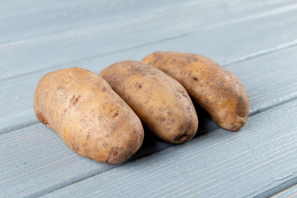 cara menanam ubi cilembu