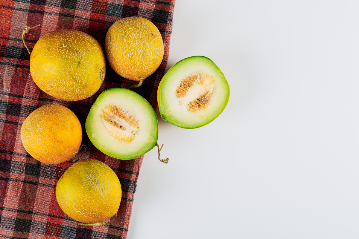 cara menanam melon golden