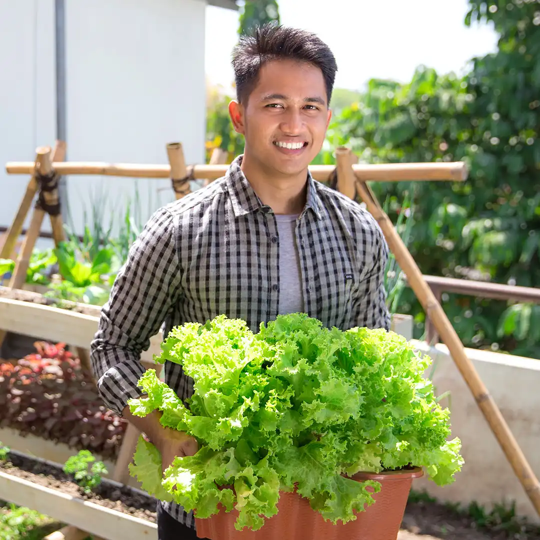 Gambar petani dengan hasil panen yang melimpah berkat pupuk organik cair dari GDM