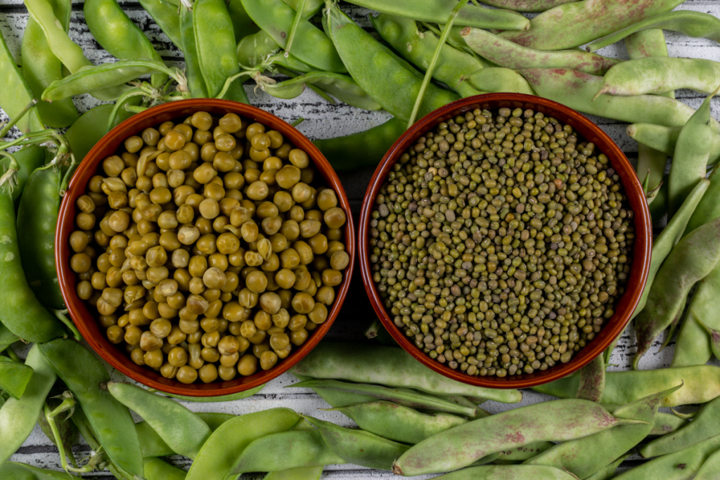 cara menanam kacang hijau di aqua gelas