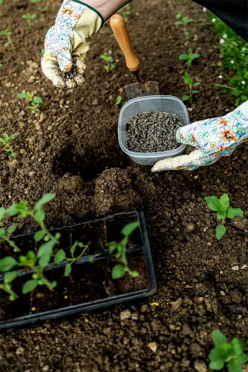Gambar background tanah yang asri, subur, dan berkualitas berkat pupuk bio organic granule GDM Same