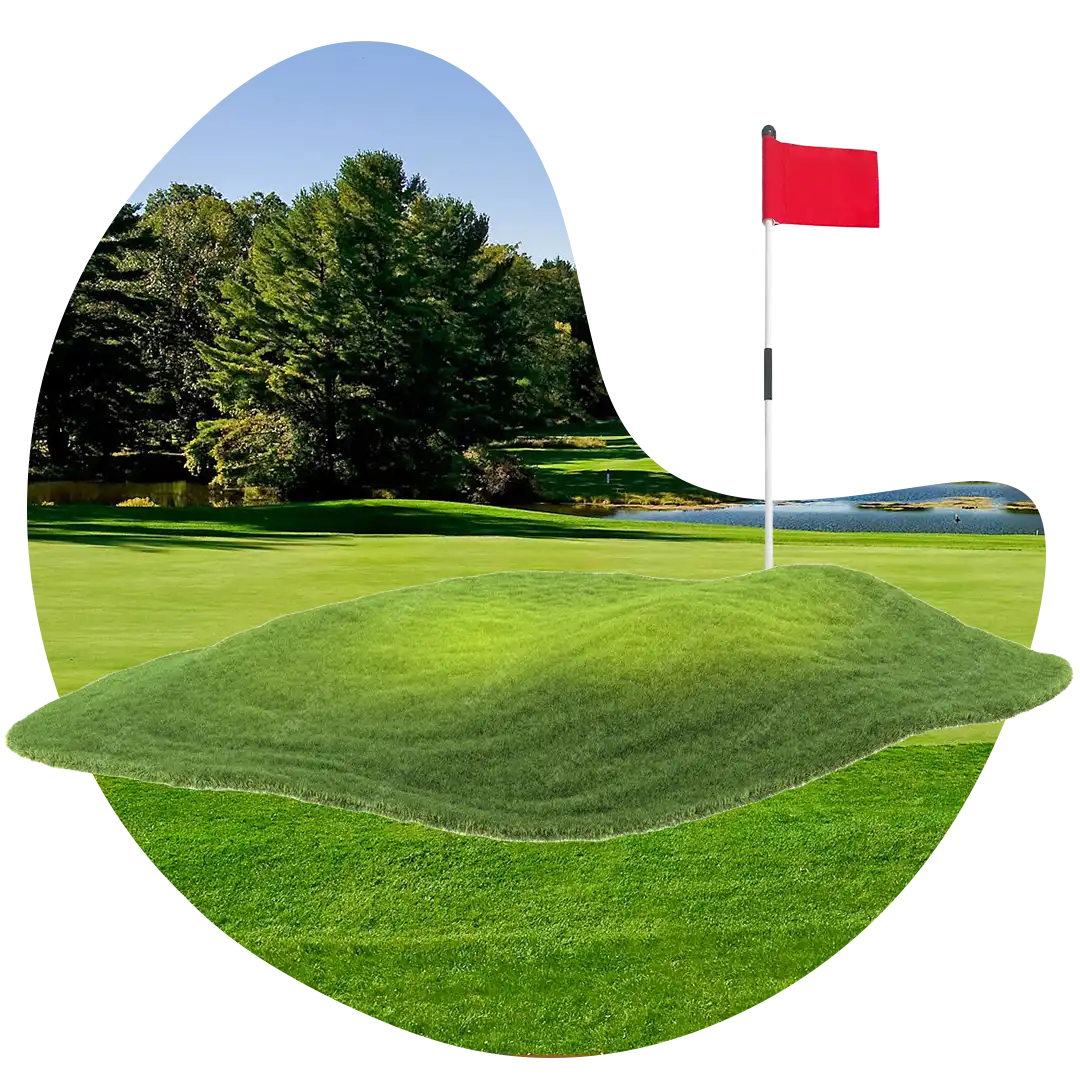 Gambar lapangan golf setelah menggunakan pupuk organik cair spesialis lapangan golf dari GDM