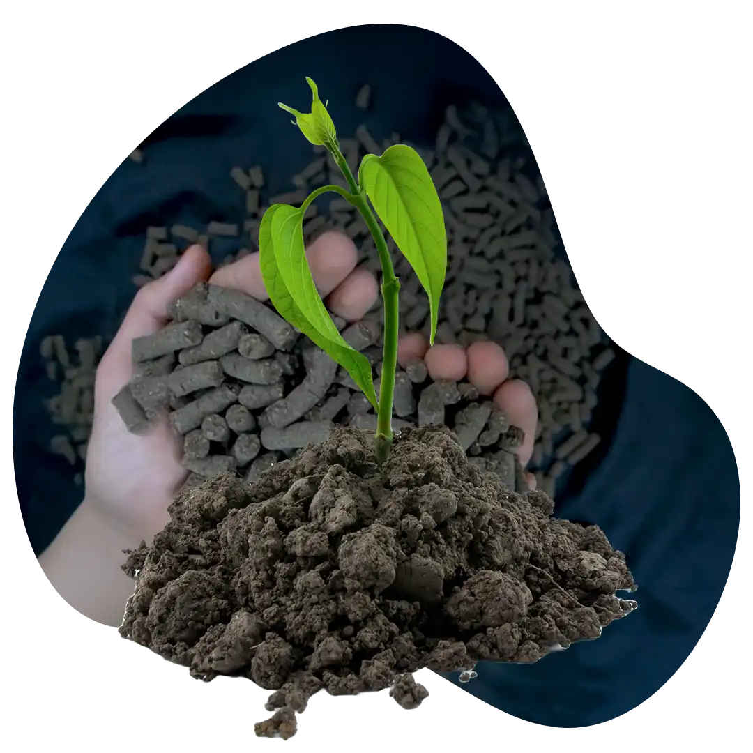 Gambar tanah yang subur berkat berbagai manfaat dari POG (Pupuk Organik Granule) GDM