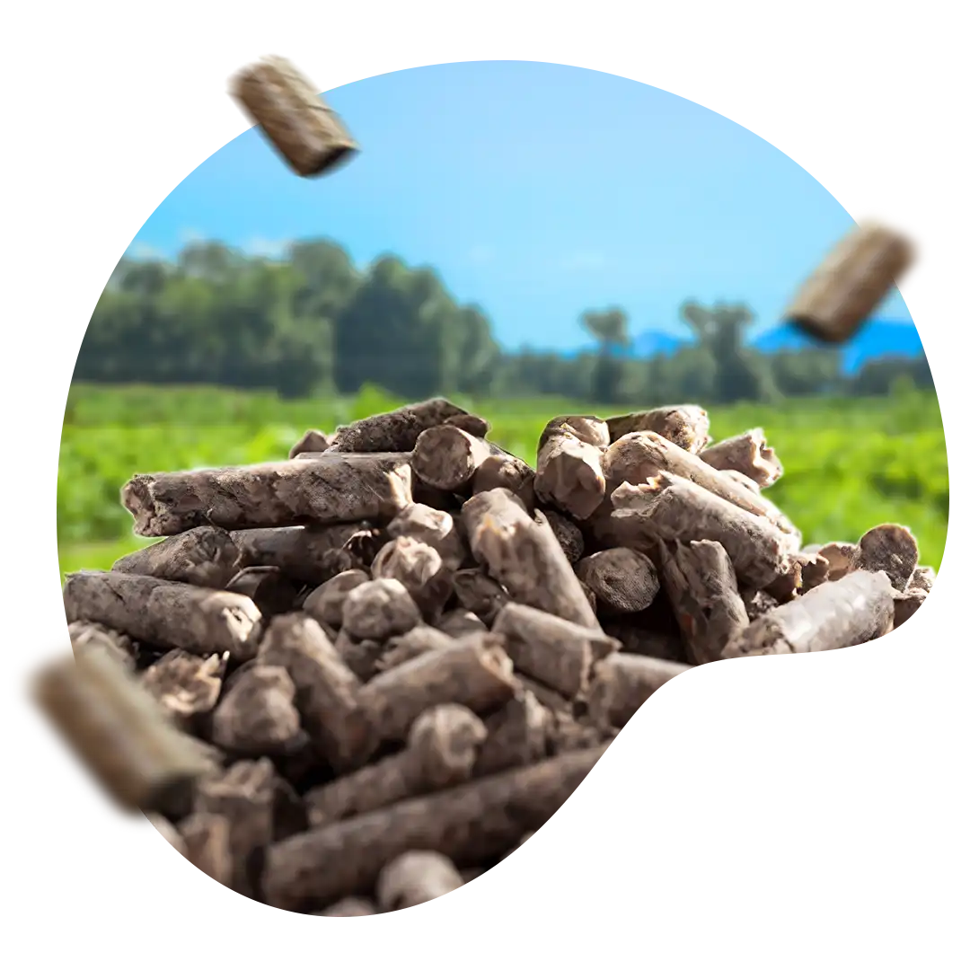 Gambar butiran pupuk bio organik granule GDM Same di depan lahan yang subur dan asri