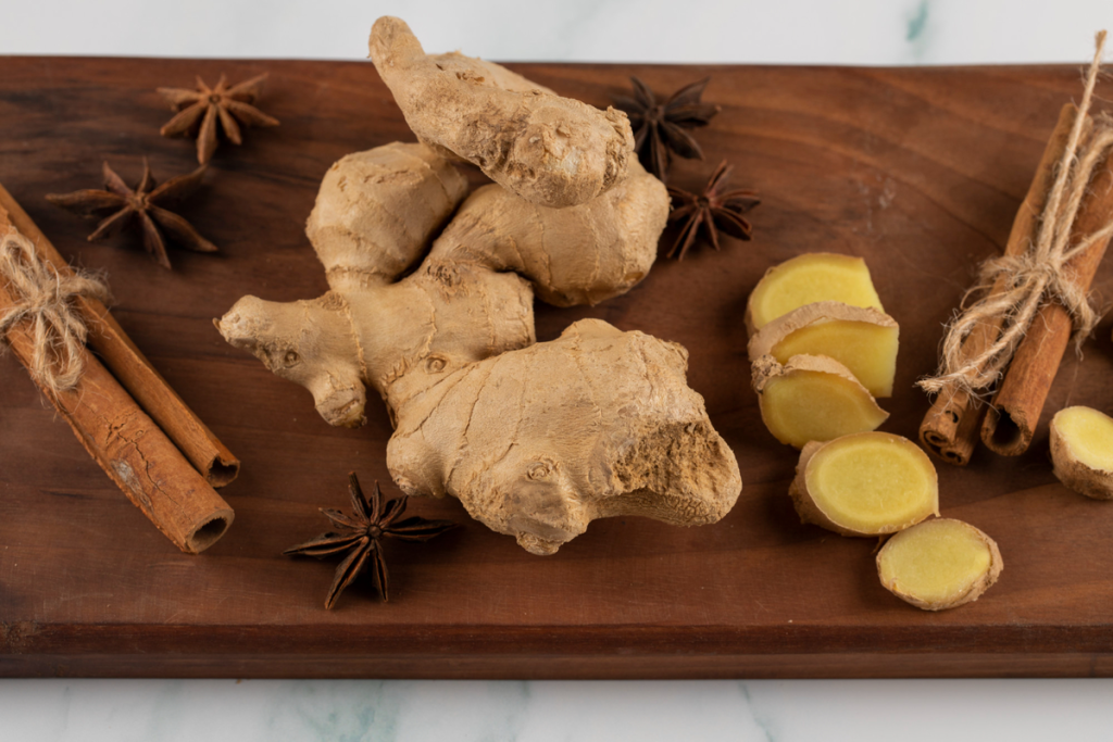 cara menanam jahe gajah