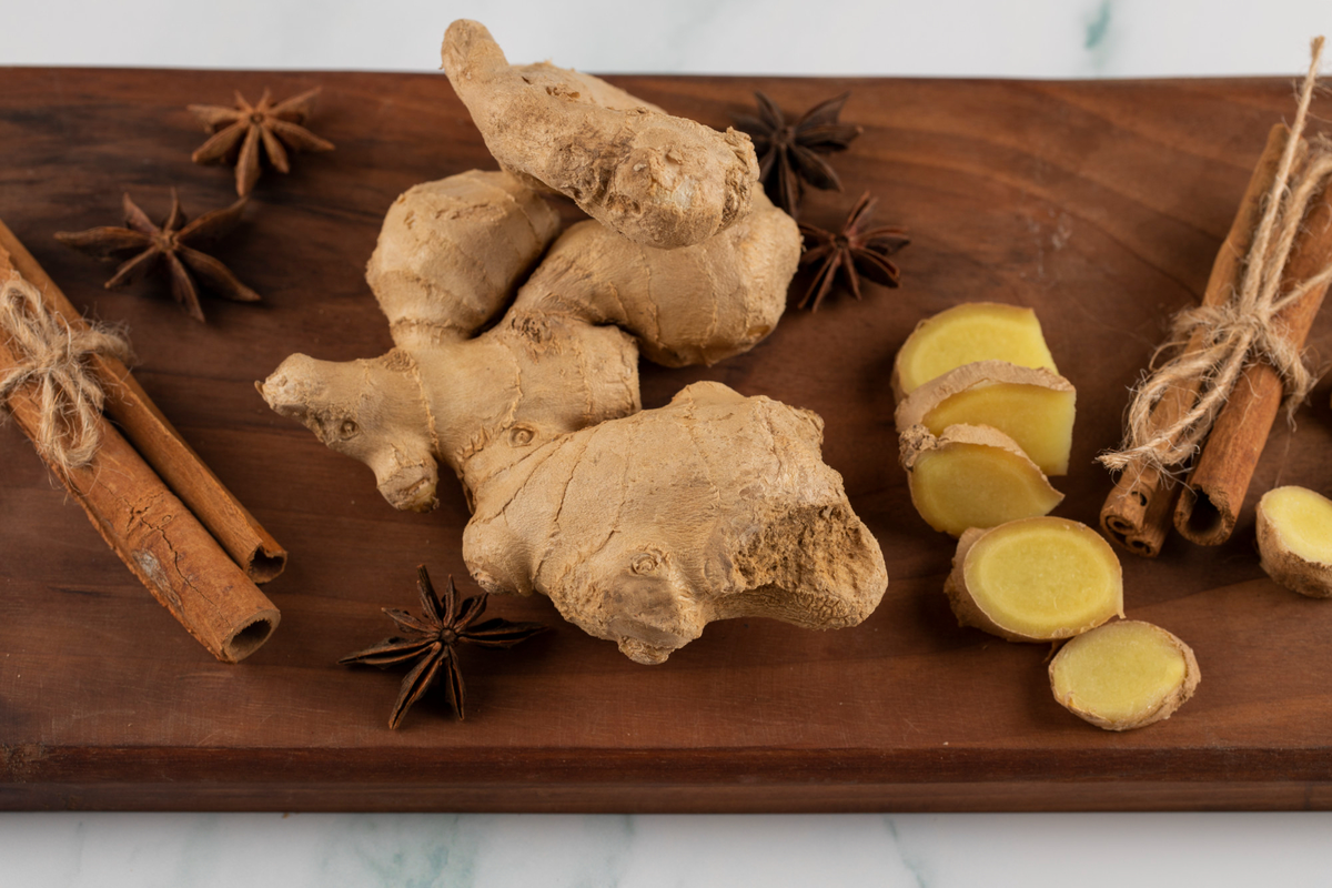 cara menanam jahe gajah