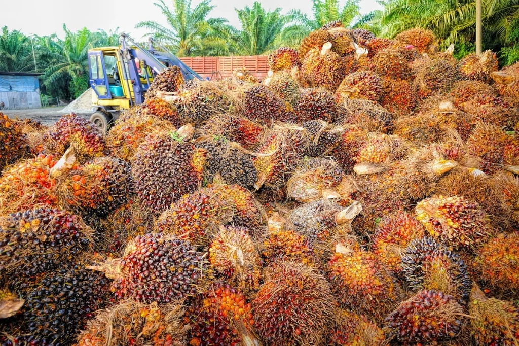 cara meningkatkan produksi kelapa sawit
