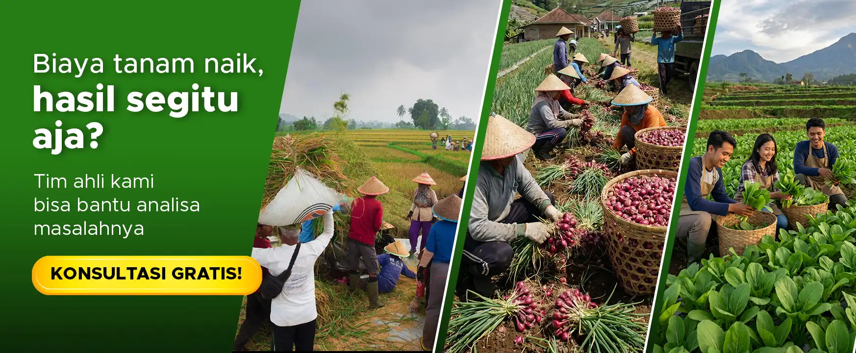 Banner Artikel CTA Pertanian GDM Desktop 2